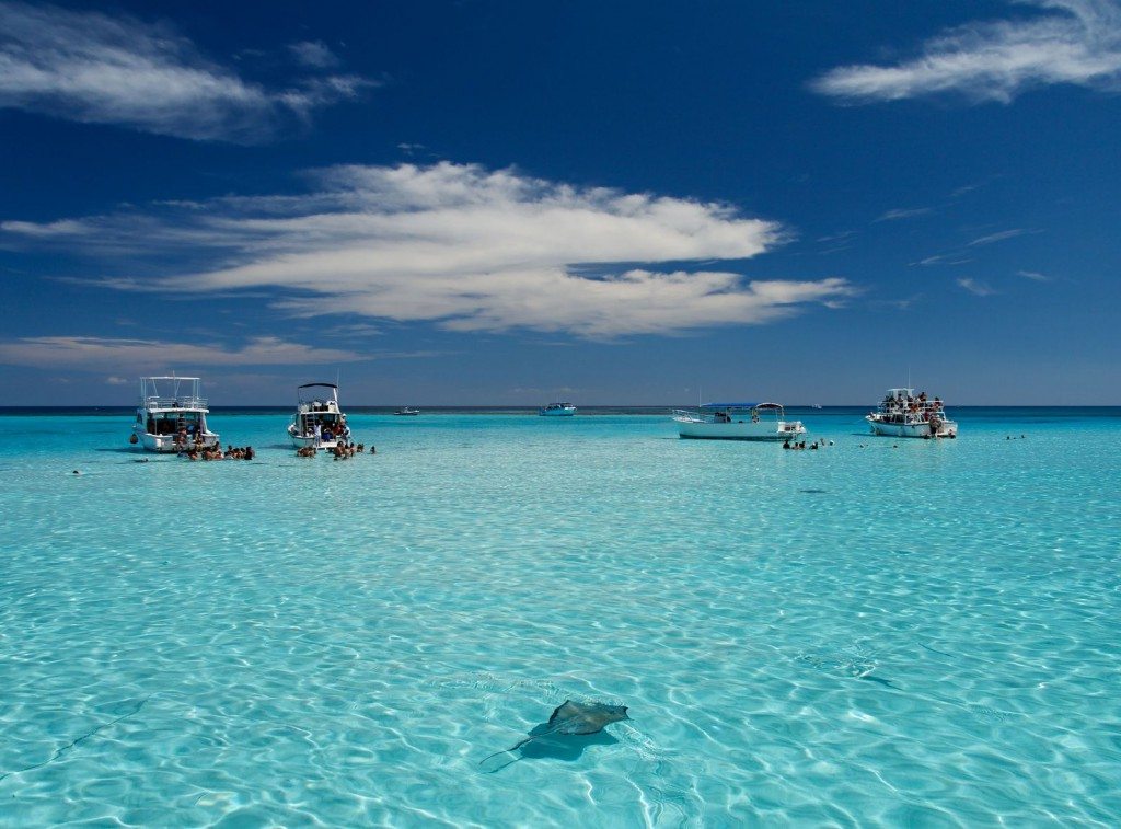 4th thing to do in Antigua: Stingray City