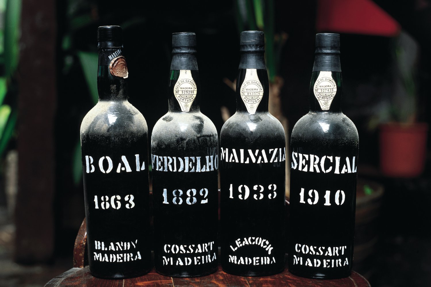 Madeira wine