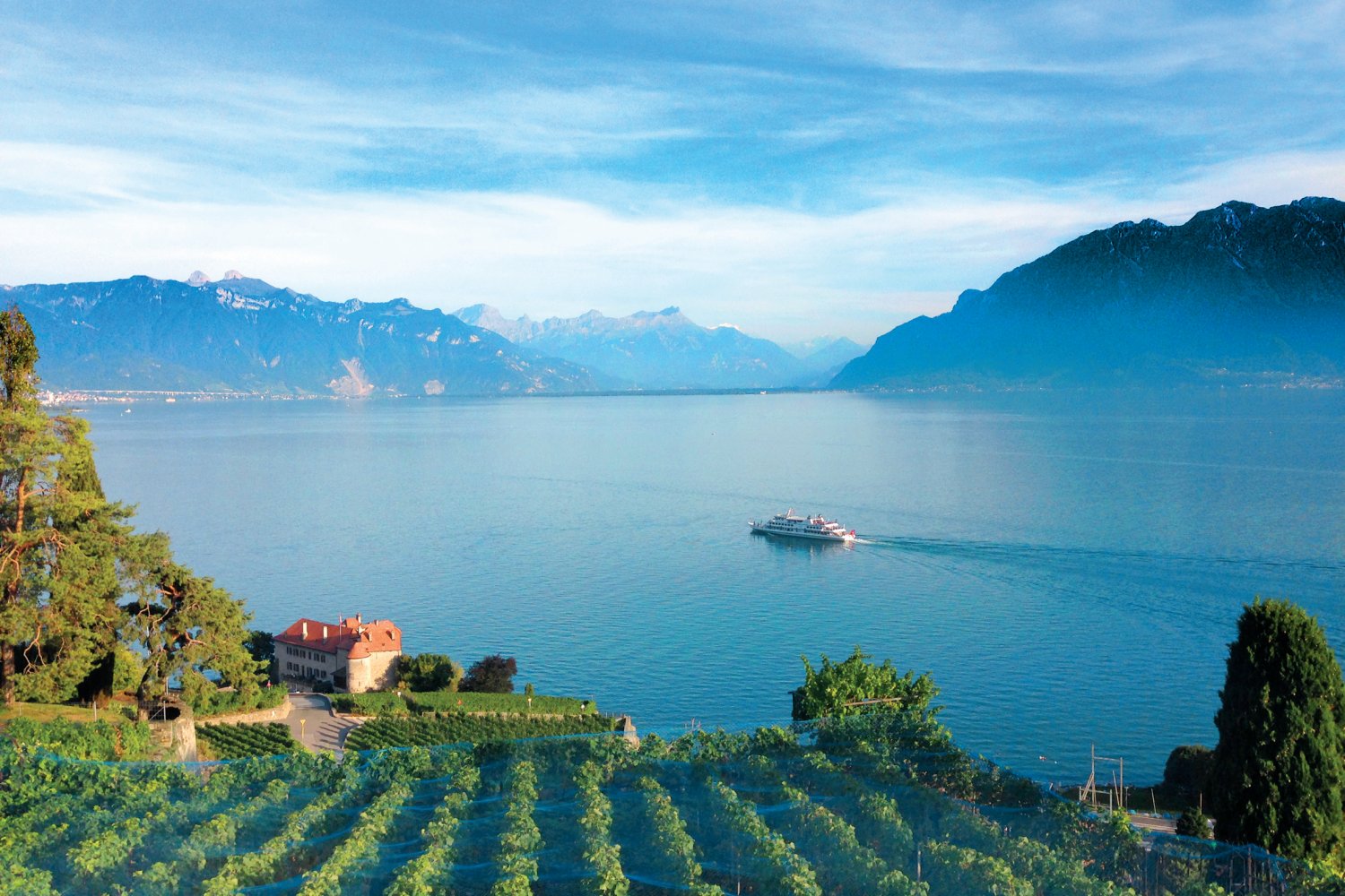 Lavaux vineyards, switzerland