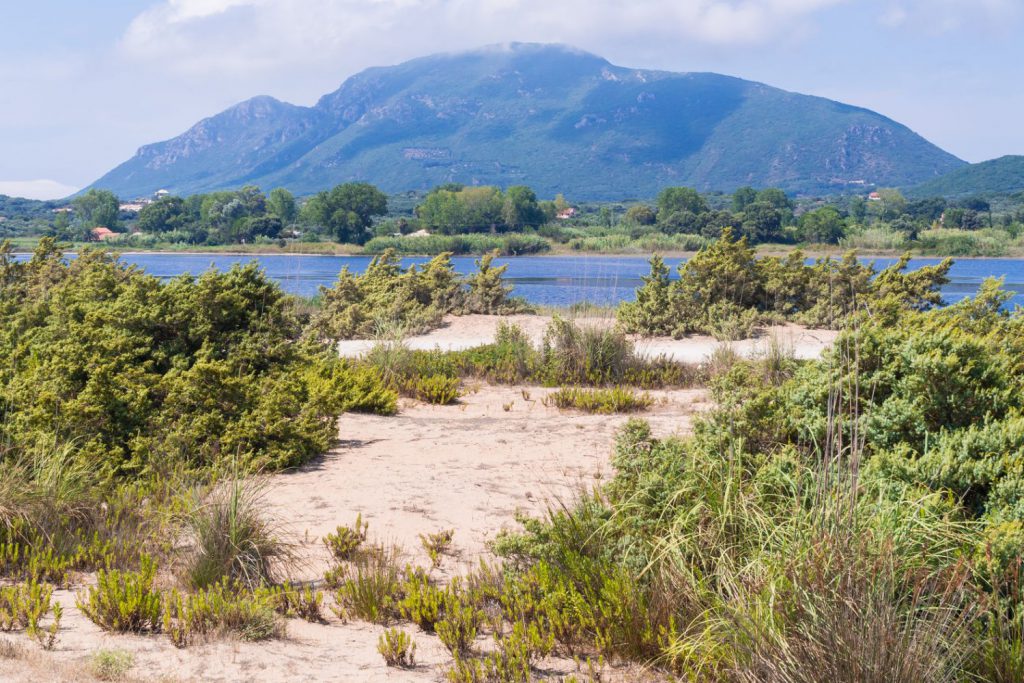 view of Korission lake from Halkikounas beach, Corfu