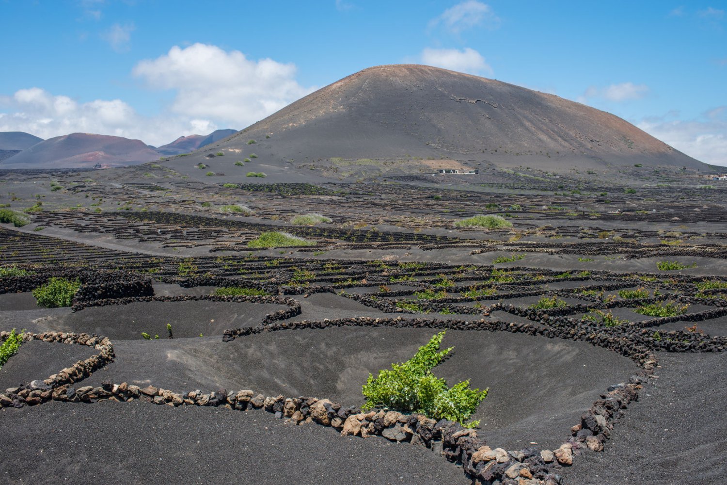 wine tasting holidays in Lanzarote